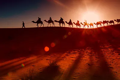 Rajasthan, India’s royal state of forts, palaces, and desert landscapes.